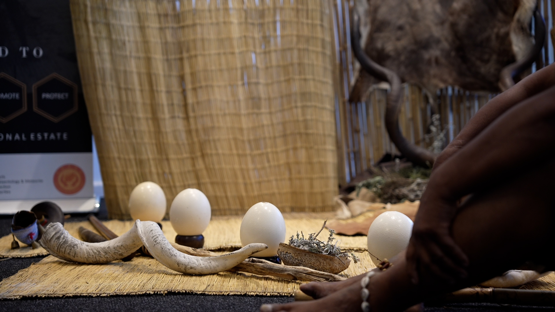 C9412.00_00_21_24.Still002